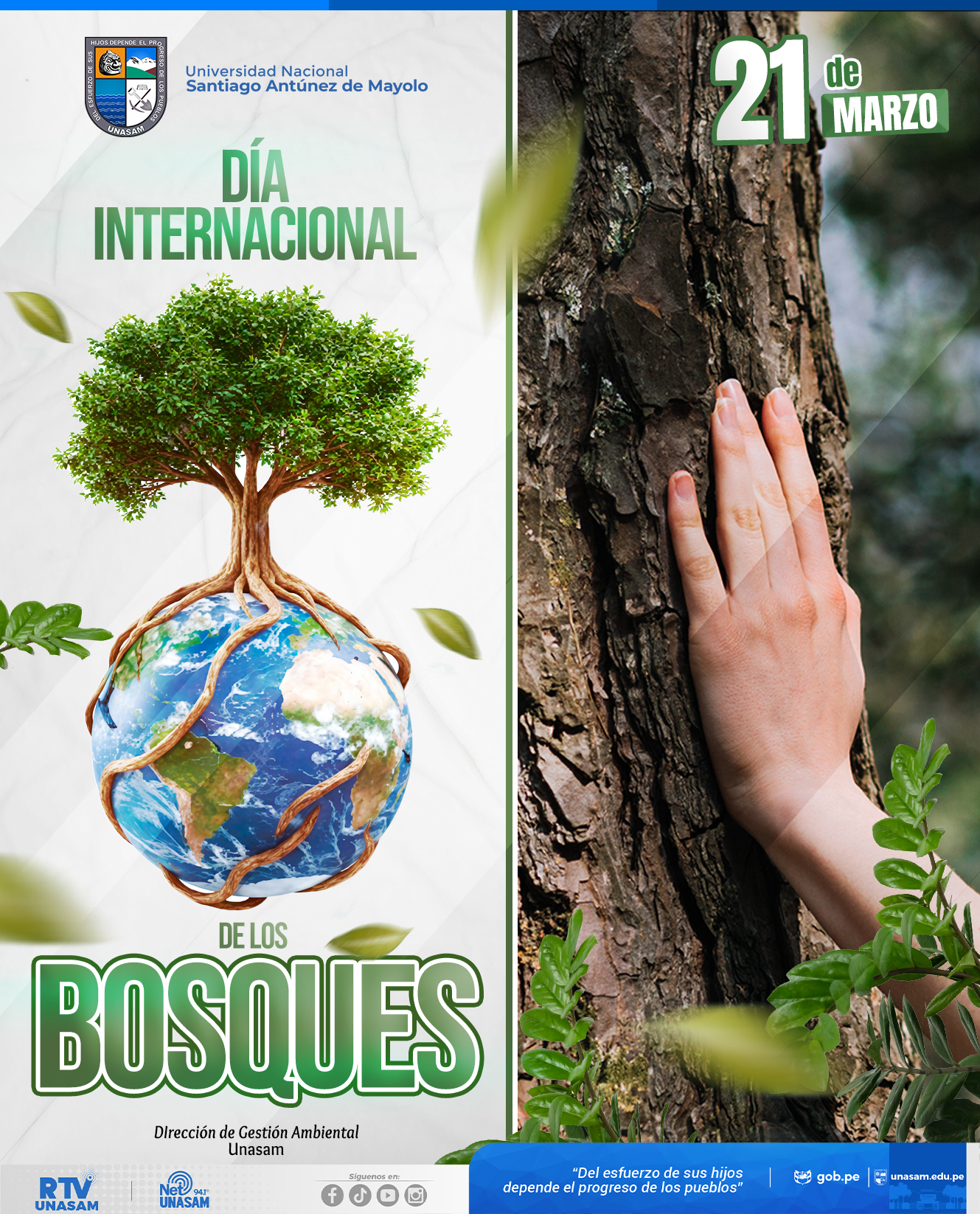  														DÍA INTERNACIONAL DE LOS BOSQUES
														